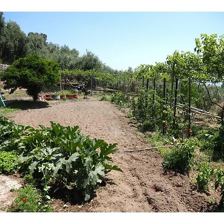 Farm stay Katina's Farm House Ano Lekhonia